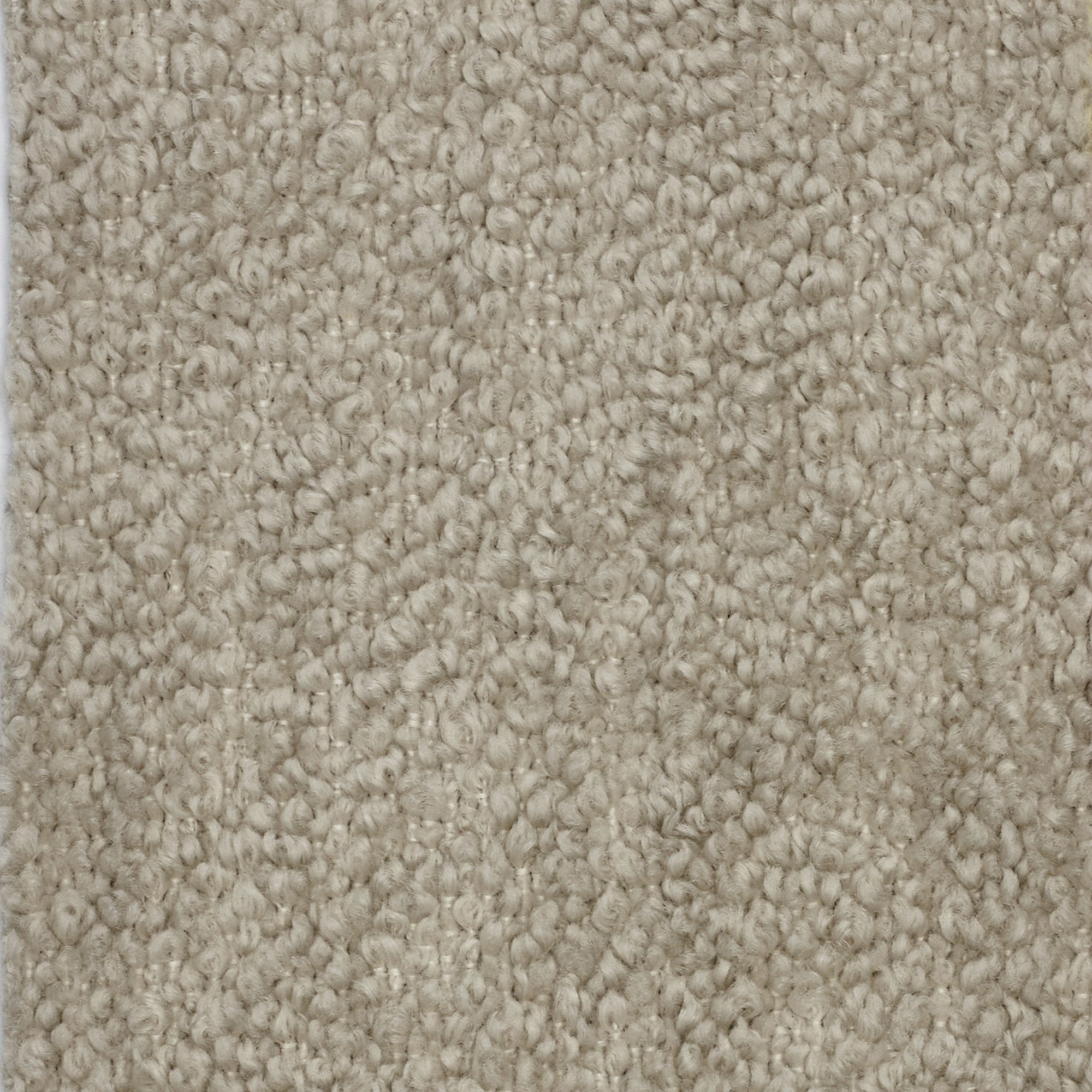 Primo piano del tappeto T21 Favola morbido ed elegante Bouclé di Divani.Store, caratterizzato da fibre beige strettamente intrecciate con sottili variazioni di filato. La sua superficie densa e ammortizzata è impermeabile e antimacchia per un'eleganza duratura.