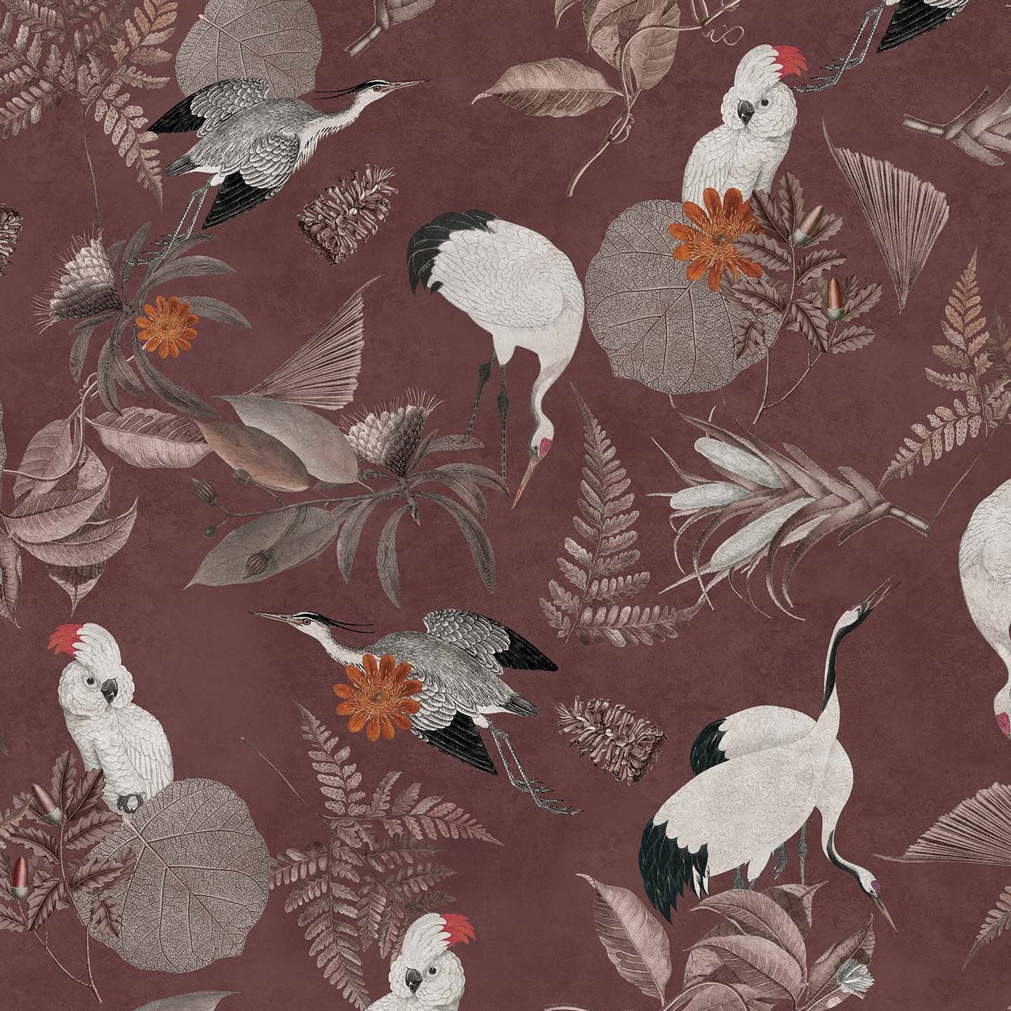 Cacadou elegante collezione di cuscini a fantasia in velluto impermeabile - divani.store