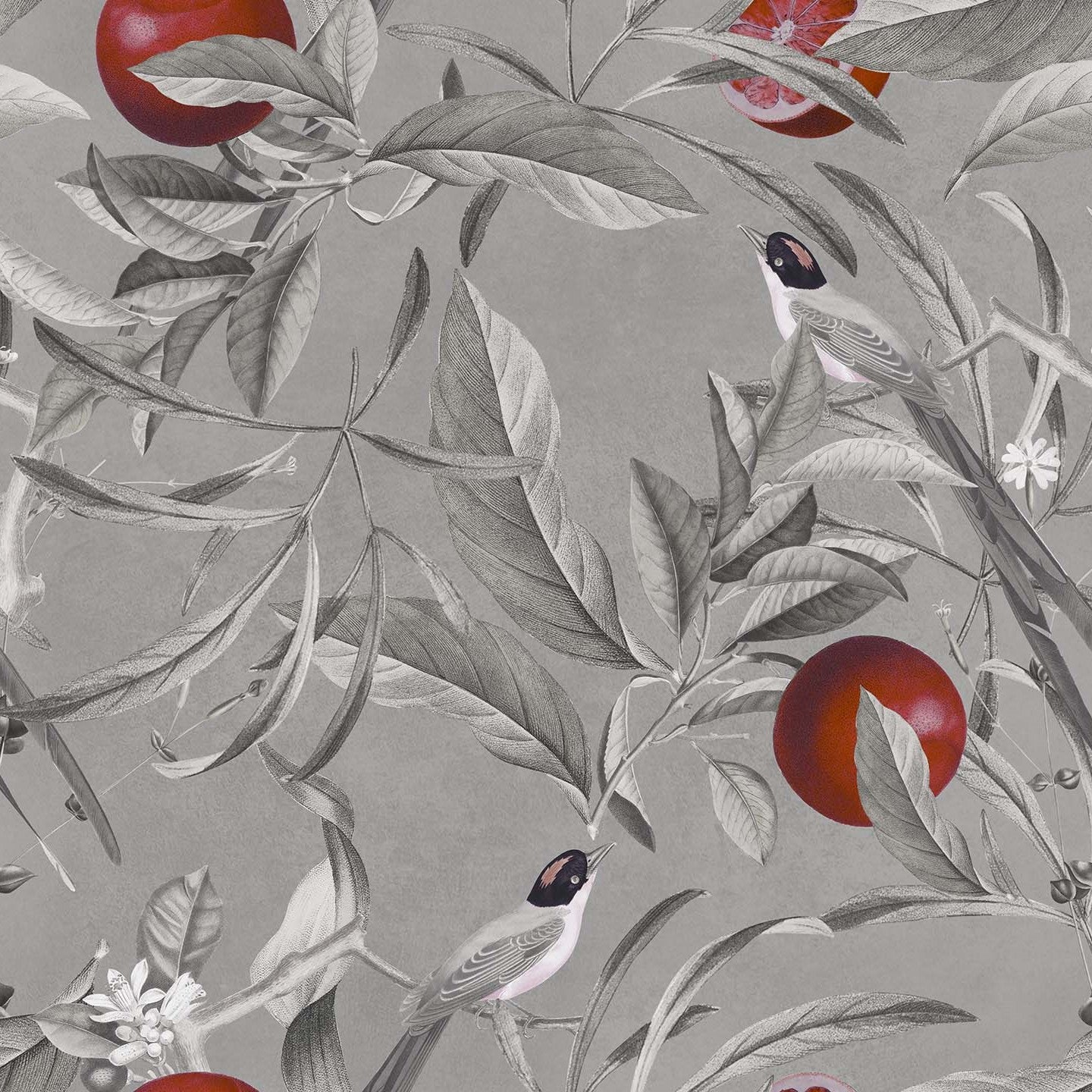 Lemon elegante collezione di cuscini a fantasia in velluto impermeabile - divani.store