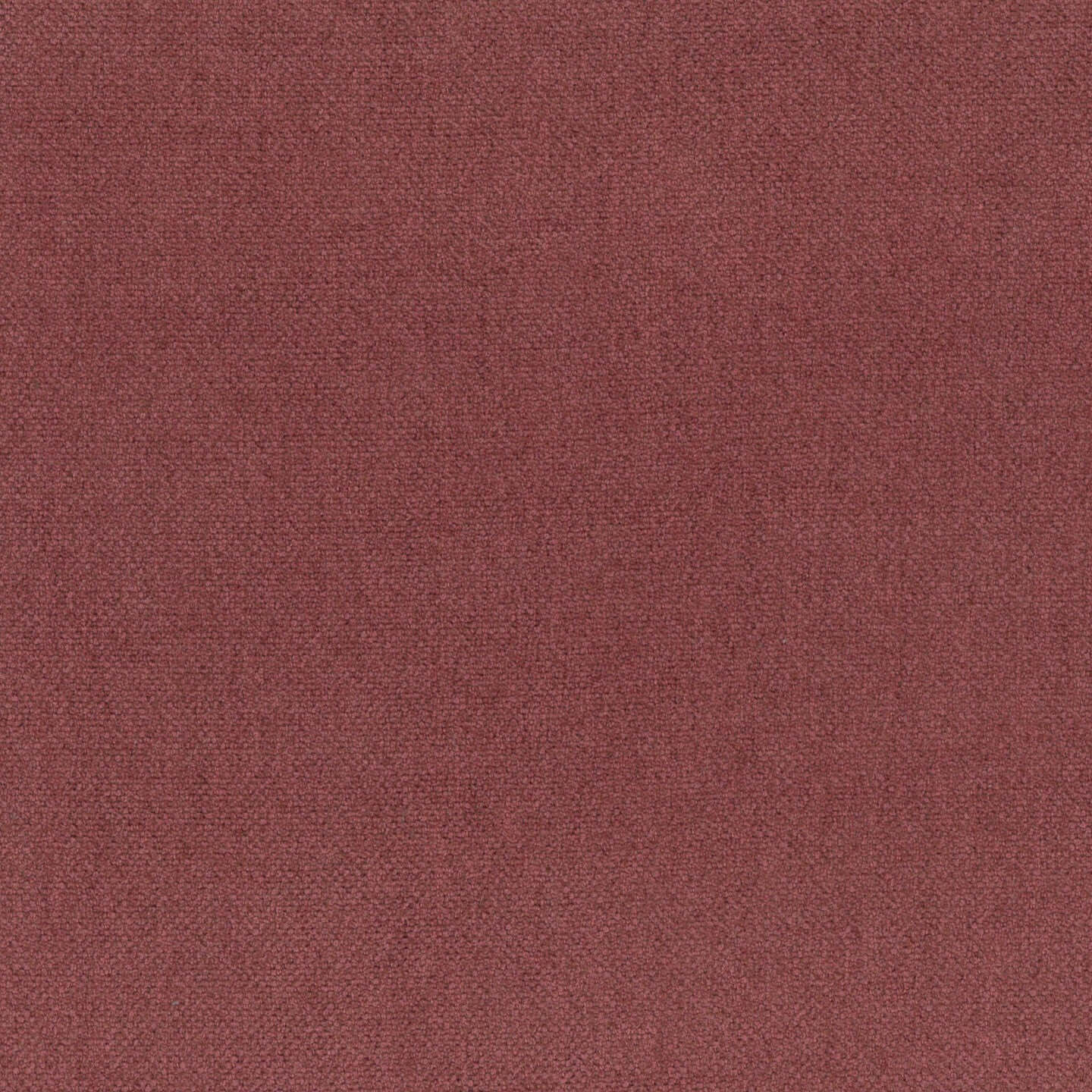 T25 Dakar tessuto morbido simil cotone impermeabile - divani.store