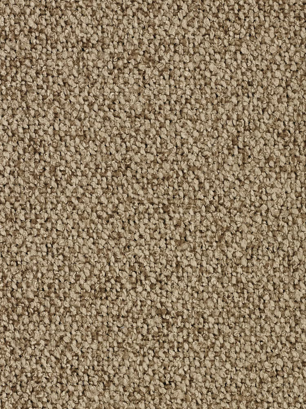 Primo piano di un tappeto beige a pelo riccio, caratterizzato da fibre fitte e strutturate disposte secondo un motivo uniforme. Il caldo colore neutro beige e la superficie morbida ma resistente lo rendono adatto sia per pavimenti residenziali che per uffici: una base ideale sotto il divano modulare a 3 posti Nimbus in morbido tessuto smacchiabile effetto cotone T33 di Divani.Store, che esalta il comfort e lo stile in qualsiasi ambiente.