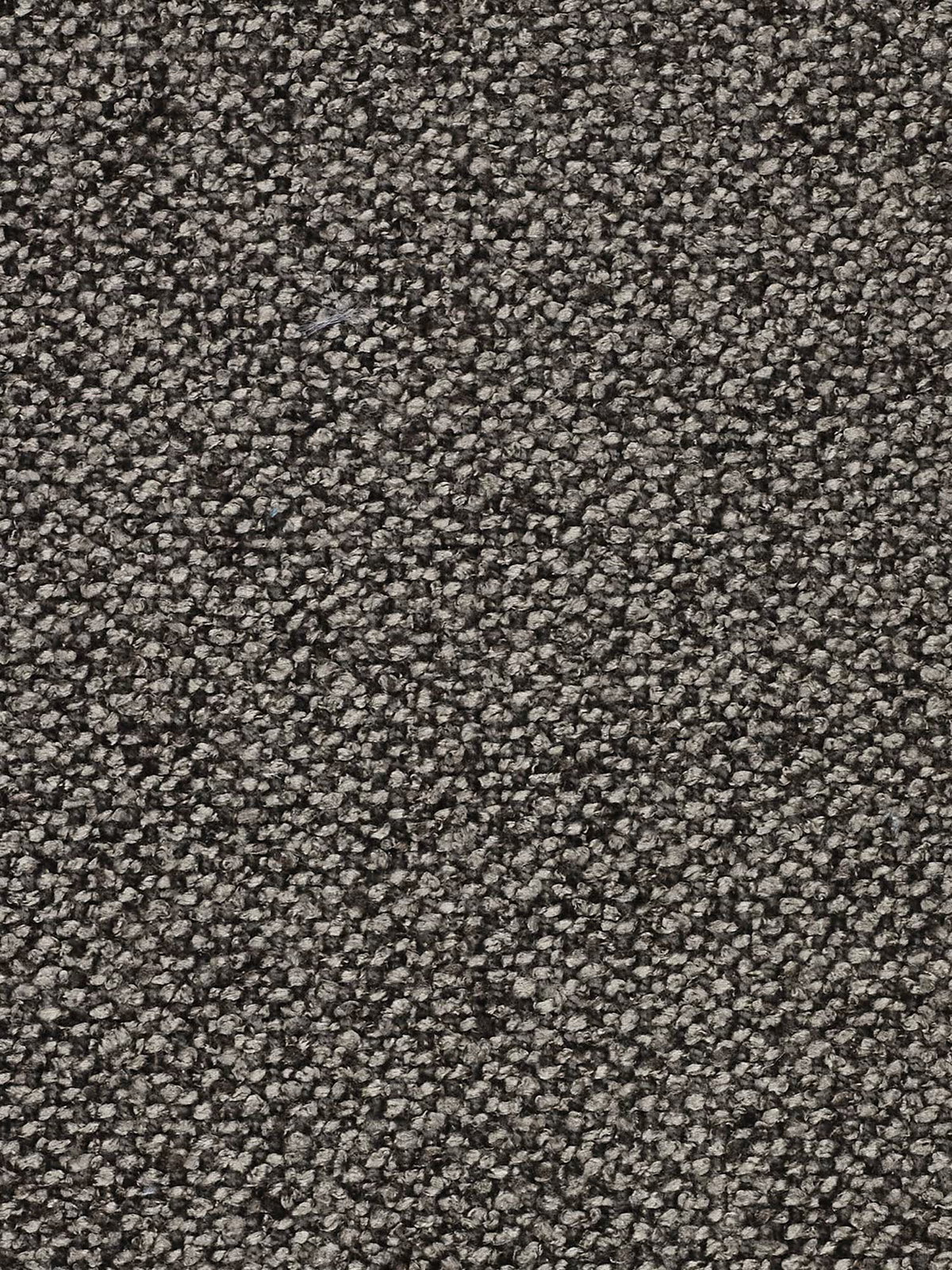 Primo piano del divano modulare a 3 posti Nimbus, realizzabile in morbido tessuto smacchiabile effetto cotone T33 di Divani.Store, che mette in risalto la sua trama in tessuto grigio scuro a riccioli, caratterizzata da piccoli riccioli di fibra densamente disposti, in grado di valorizzare perfettamente gli spazi abitativi contemporanei. Il motivo è uniforme, con una superficie leggermente ruvida e granulosa e un colore omogeneo su tutta la superficie, che crea un sobrio effetto screziato.