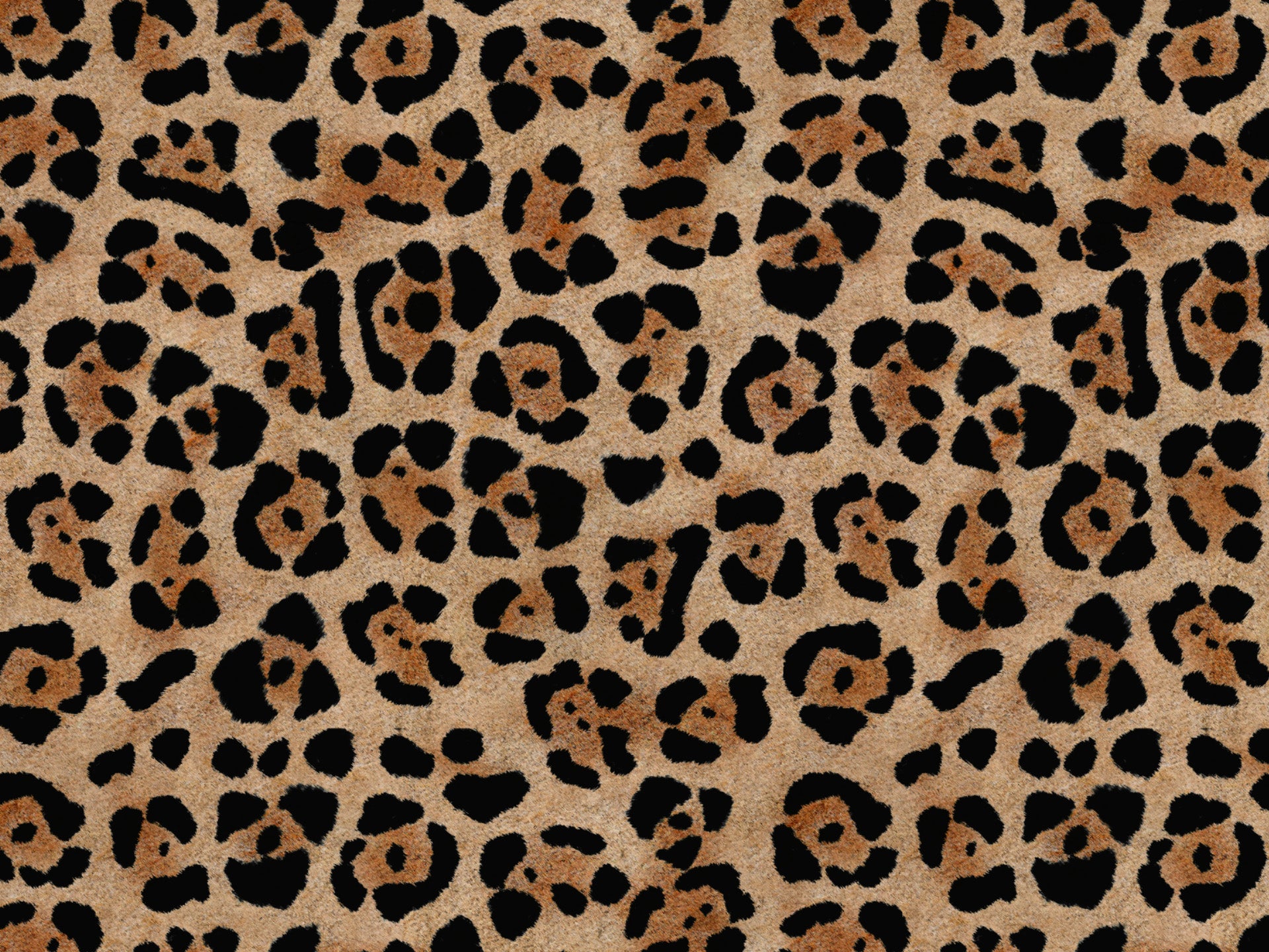 Wild cuscino in collezione Wild in microfibra impermeabile - divani.store