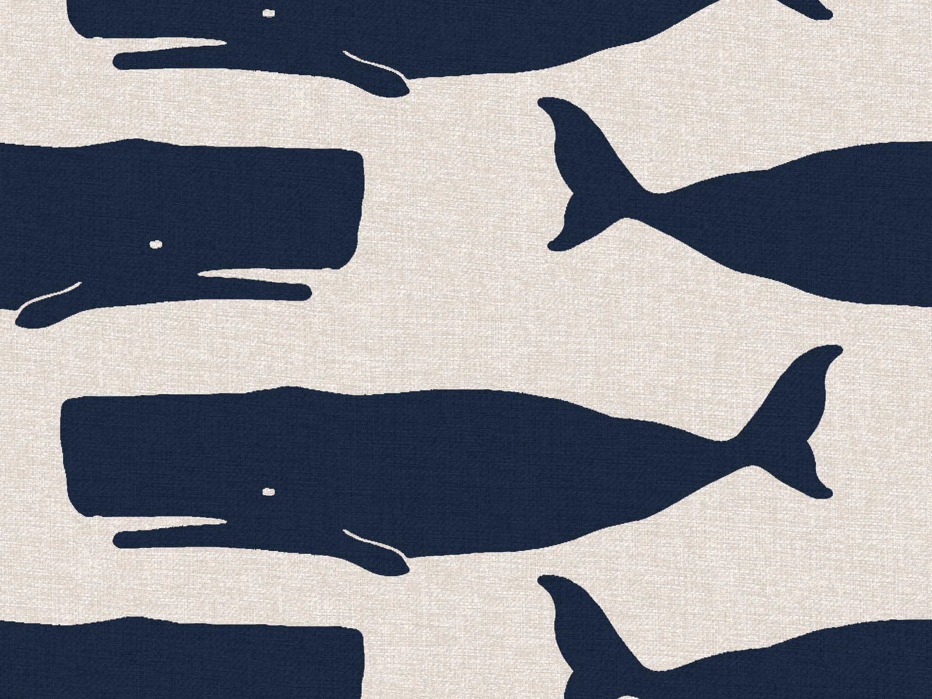 Nautilus collezione di cuscini in varie fantasie stile marino in tessuto impermeabile - divani.store