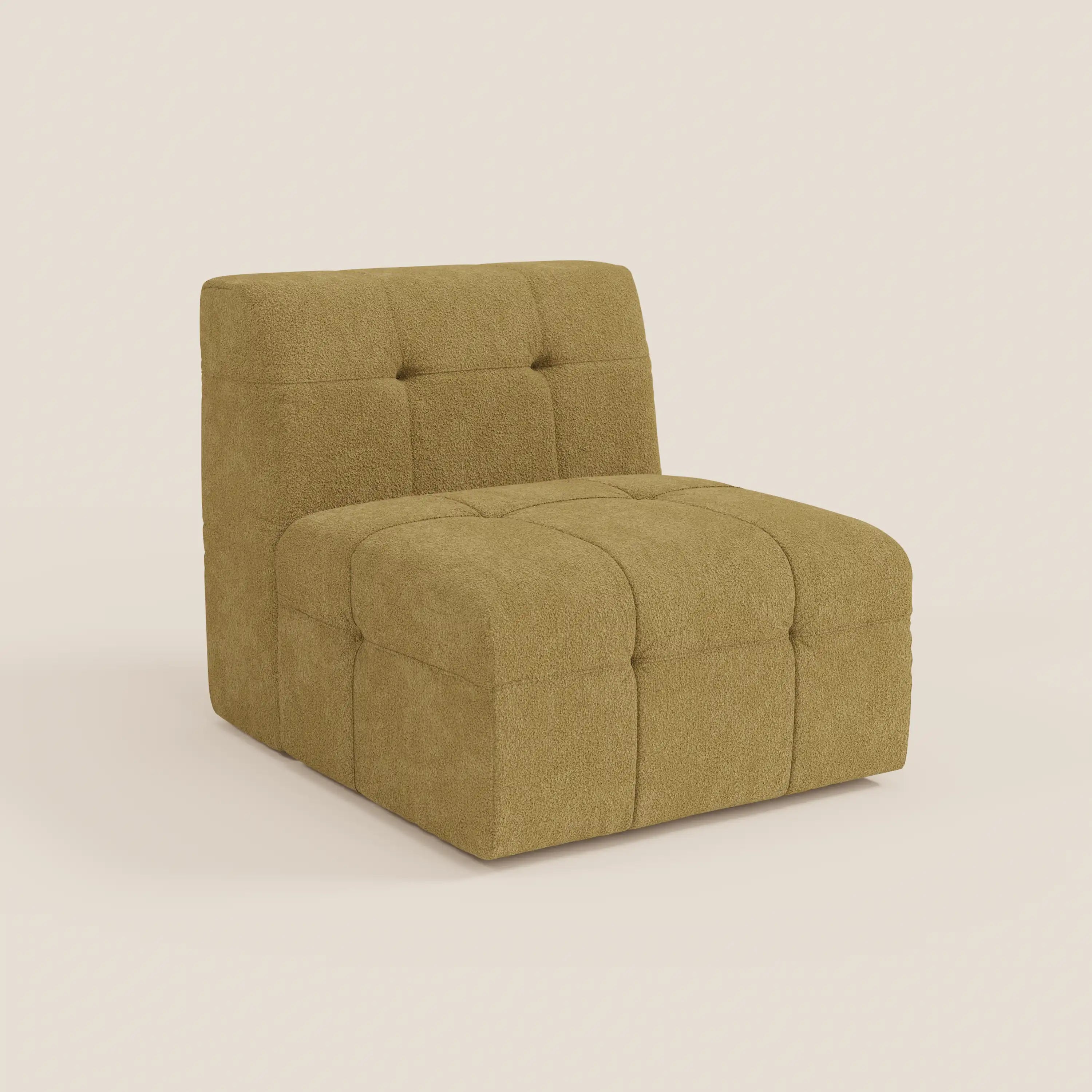 MOSAIC T21  SENAPE -lat_DX