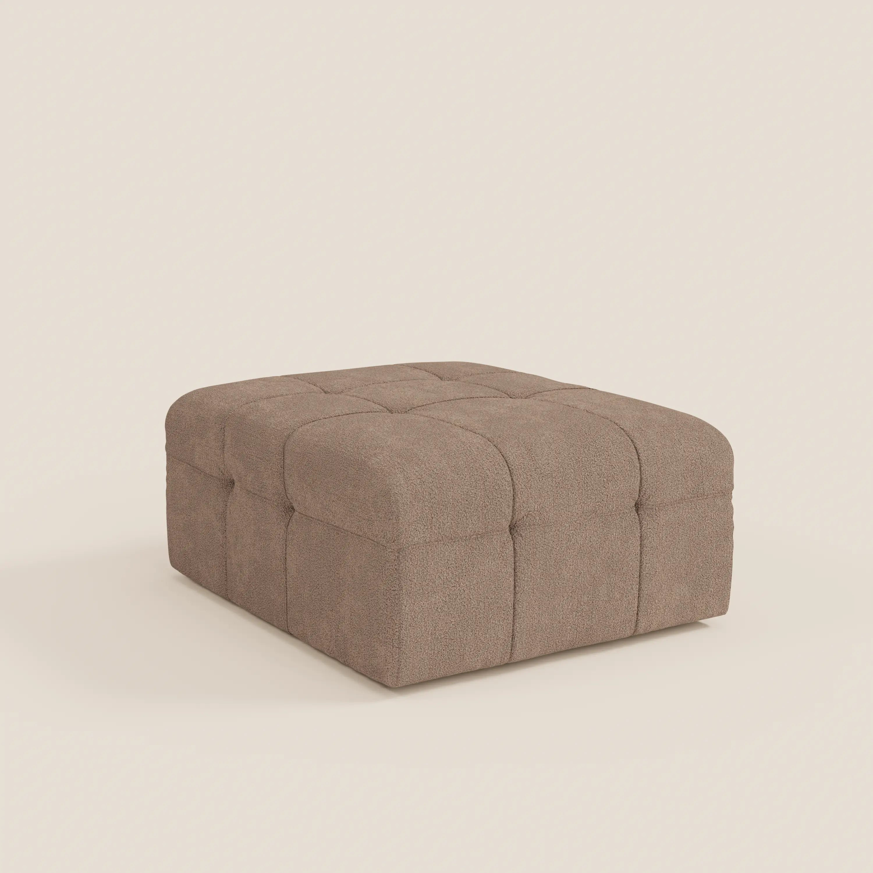 MOSAIC T21 TEDDY -lat_DX