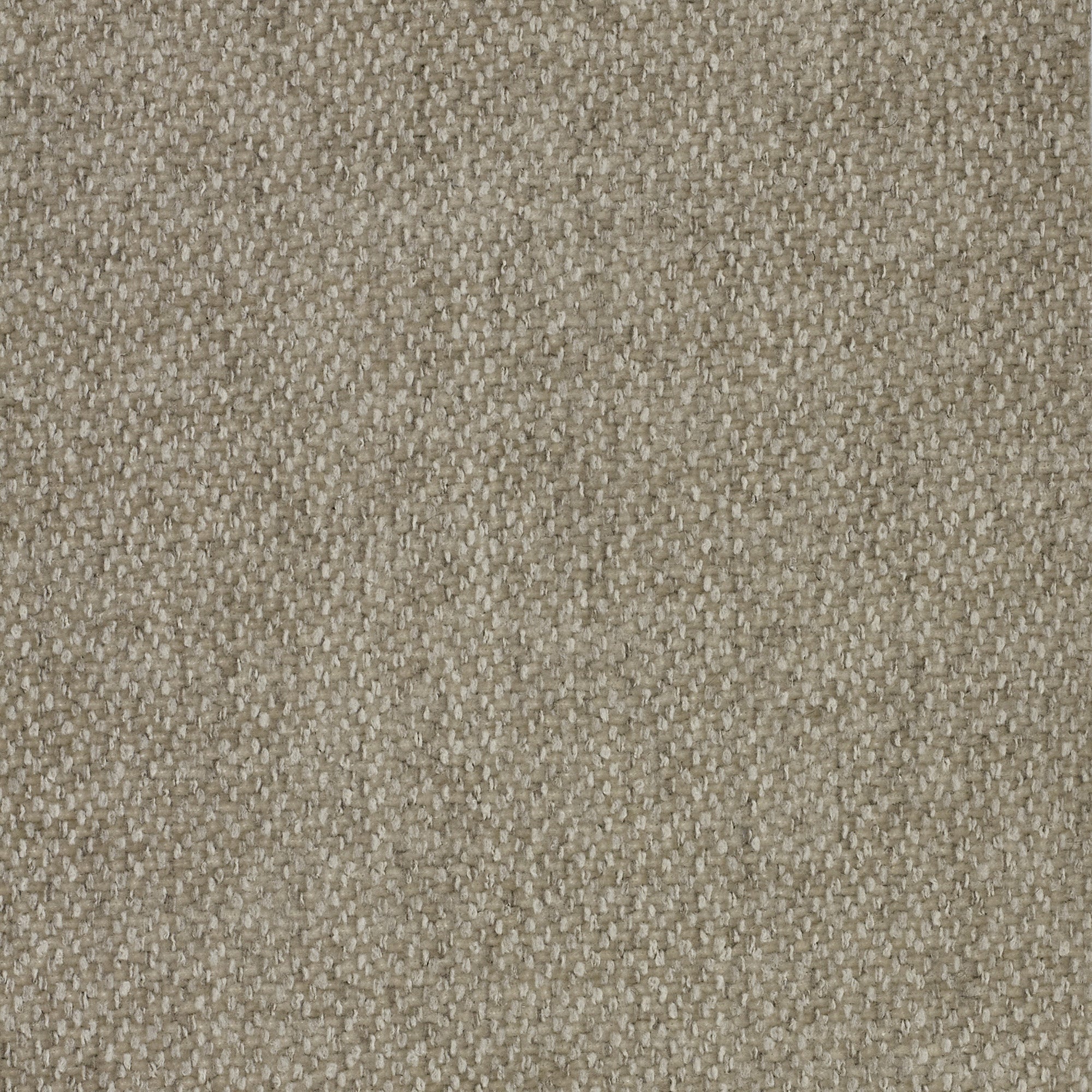 SOLE TORTORA -TESSUTO