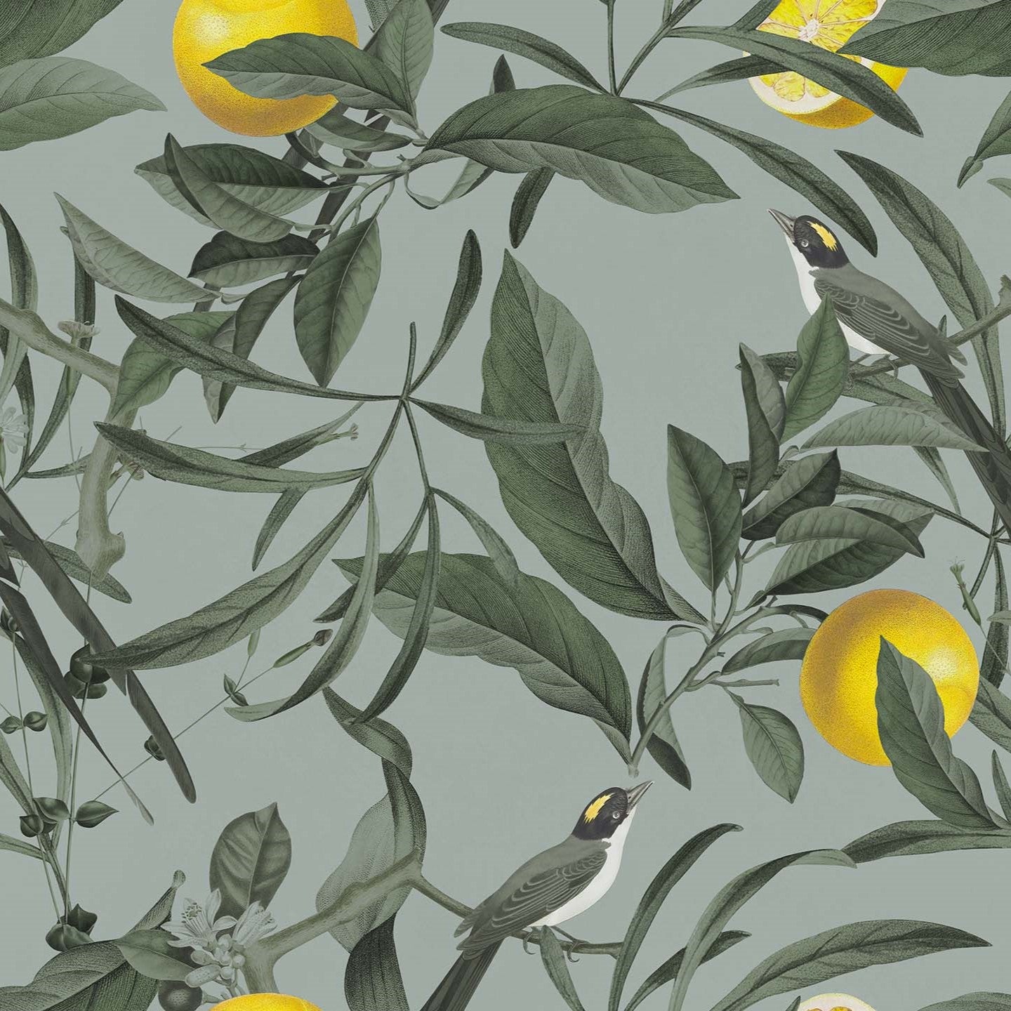 Lemon elegante collezione cuscini a fantasia in velluto impermeabile