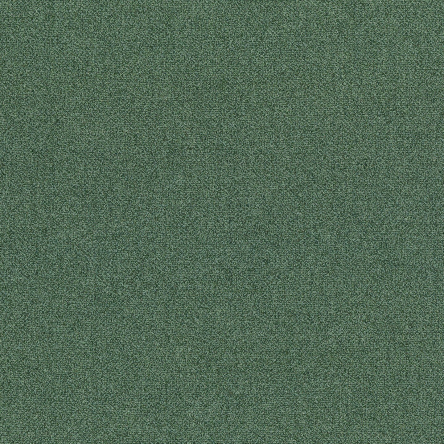 Un primo piano della Personalizzazione in T25 di Divani.Store mostra un tappeto verde strutturato con fibre di colore medio-scuro simili a quelle dell'erba, densamente compattate e uniformemente disegnate, che creano un aspetto naturale su tutta la superficie.