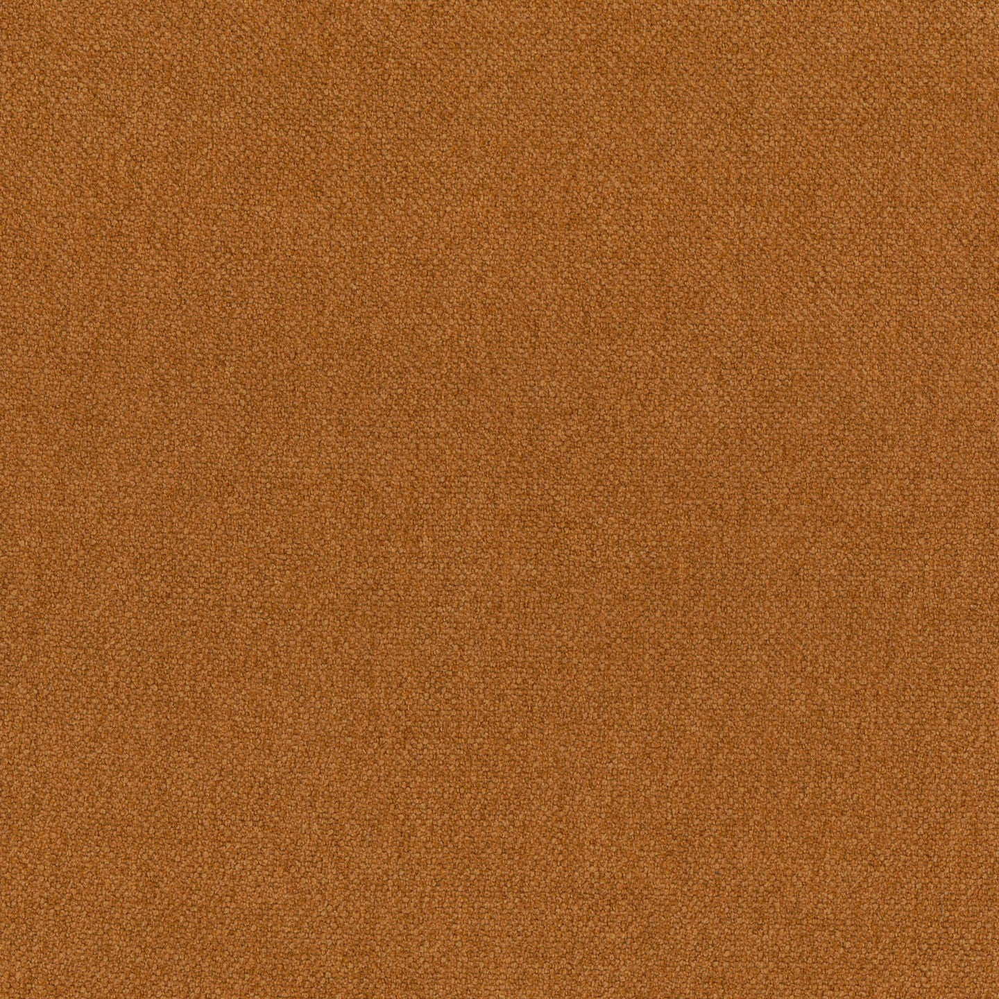 Primo piano della Personalizzazione di Divani.Store in T25, un materiale consistente, di colore marrone caldo, con una consistenza simile alla pelle scamosciata e una trama fine e fitta, che gli conferisce un aspetto liscio e sottilmente sfocato. La superficie è illuminata in modo uniforme e non presenta motivi o oggetti visibili.