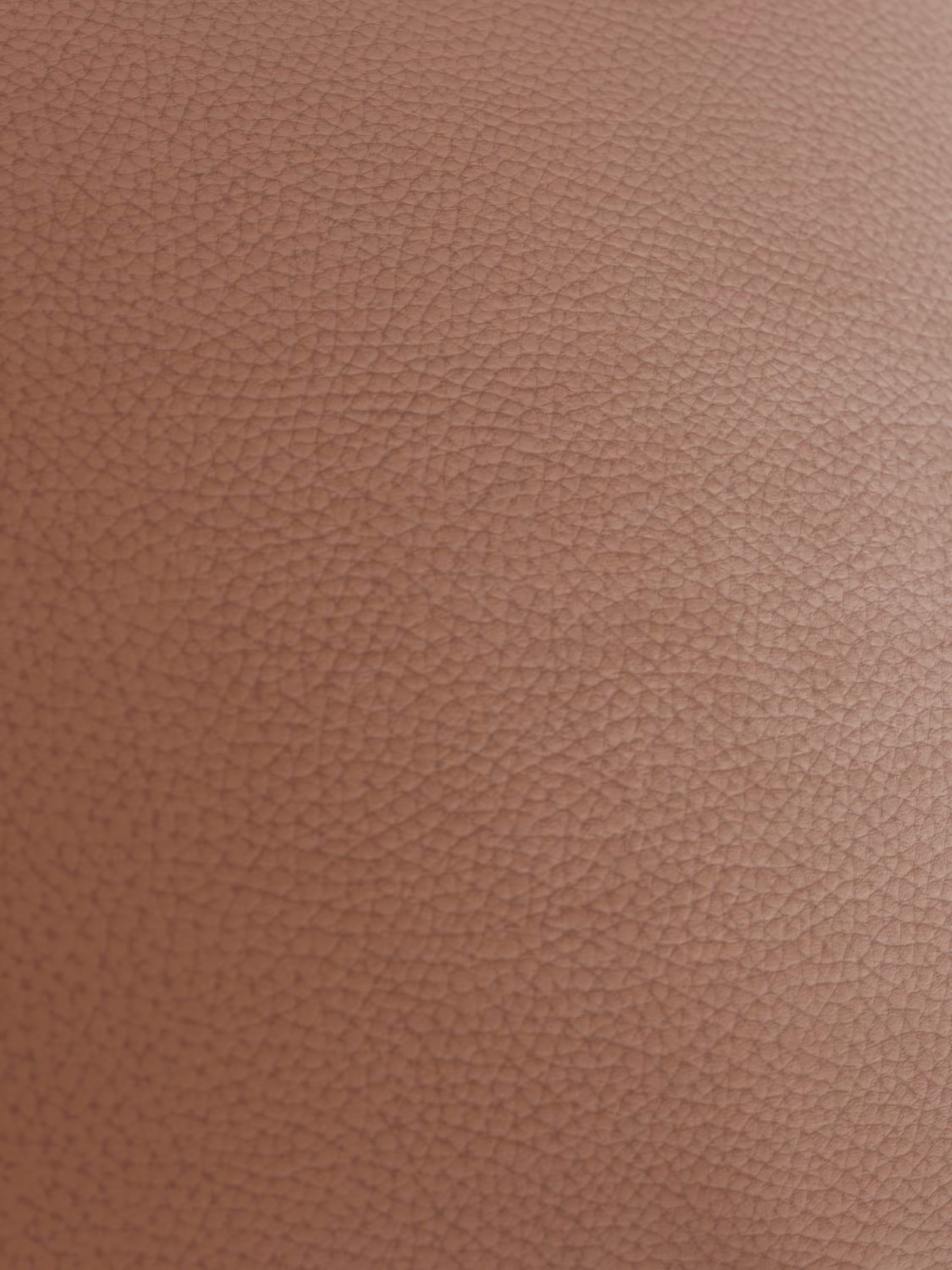 Primo piano di una superficie dalla texture granulosa di colore bruno-rossastro, caratteristica della vera pelle spessa, presente sulla poltrona Chester in vera pelle spessorata con capitonné artigianale di Divani.Store. L'immagine mette in risalto numerose piccole protuberanze in rilievo e le venature naturali che richiamano la classica maestria artigianale tipica dei rivestimenti capitonné.