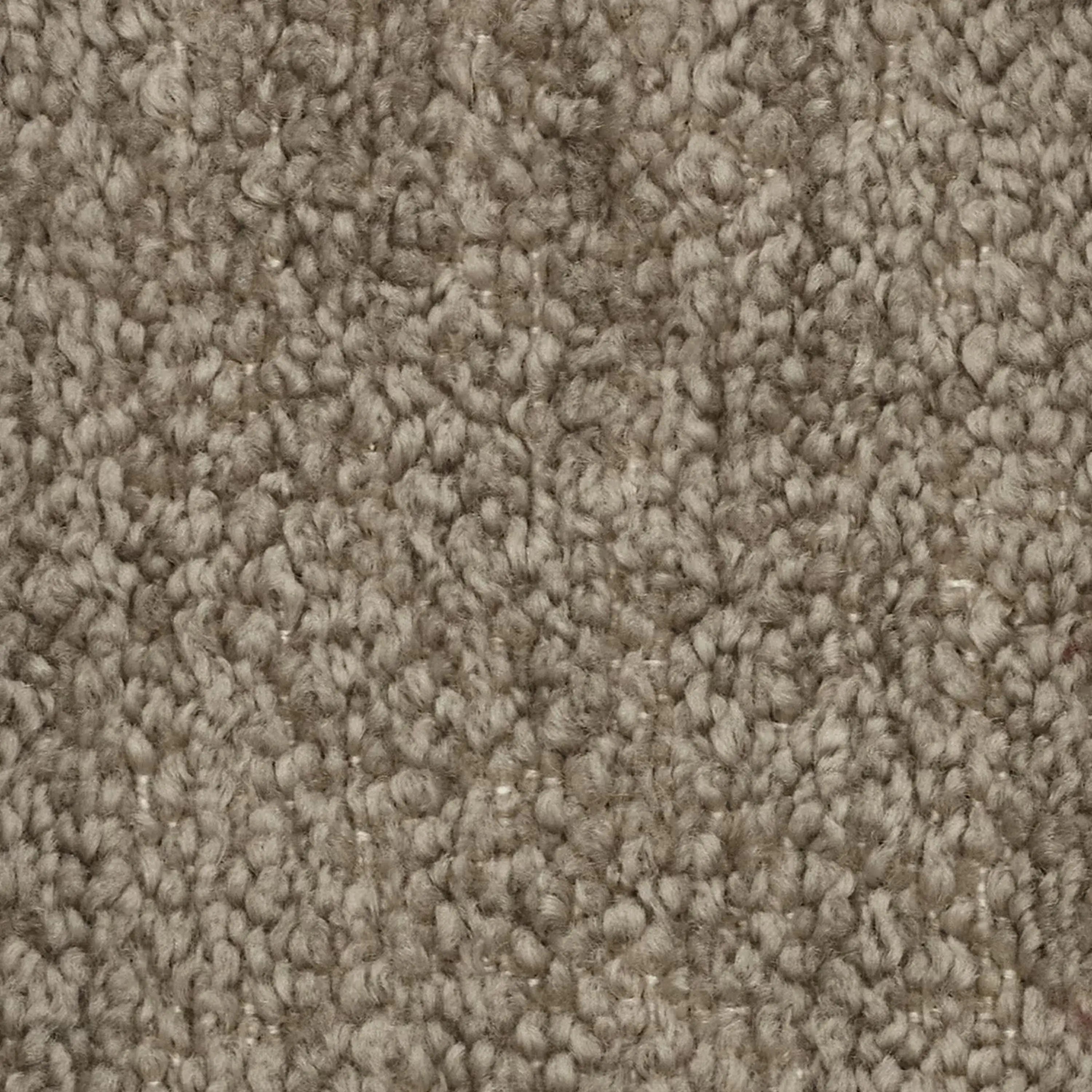 MOSAIC T21  TORTORA -t