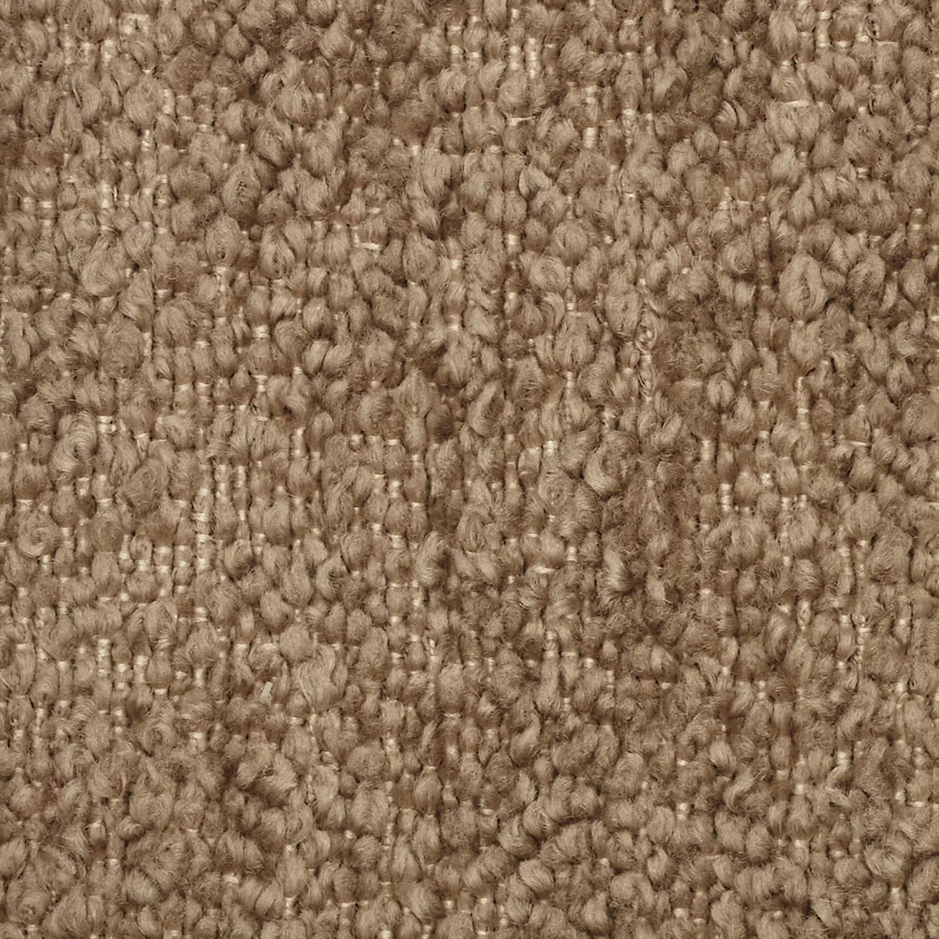 MOSAIC T21  TEDDY -t