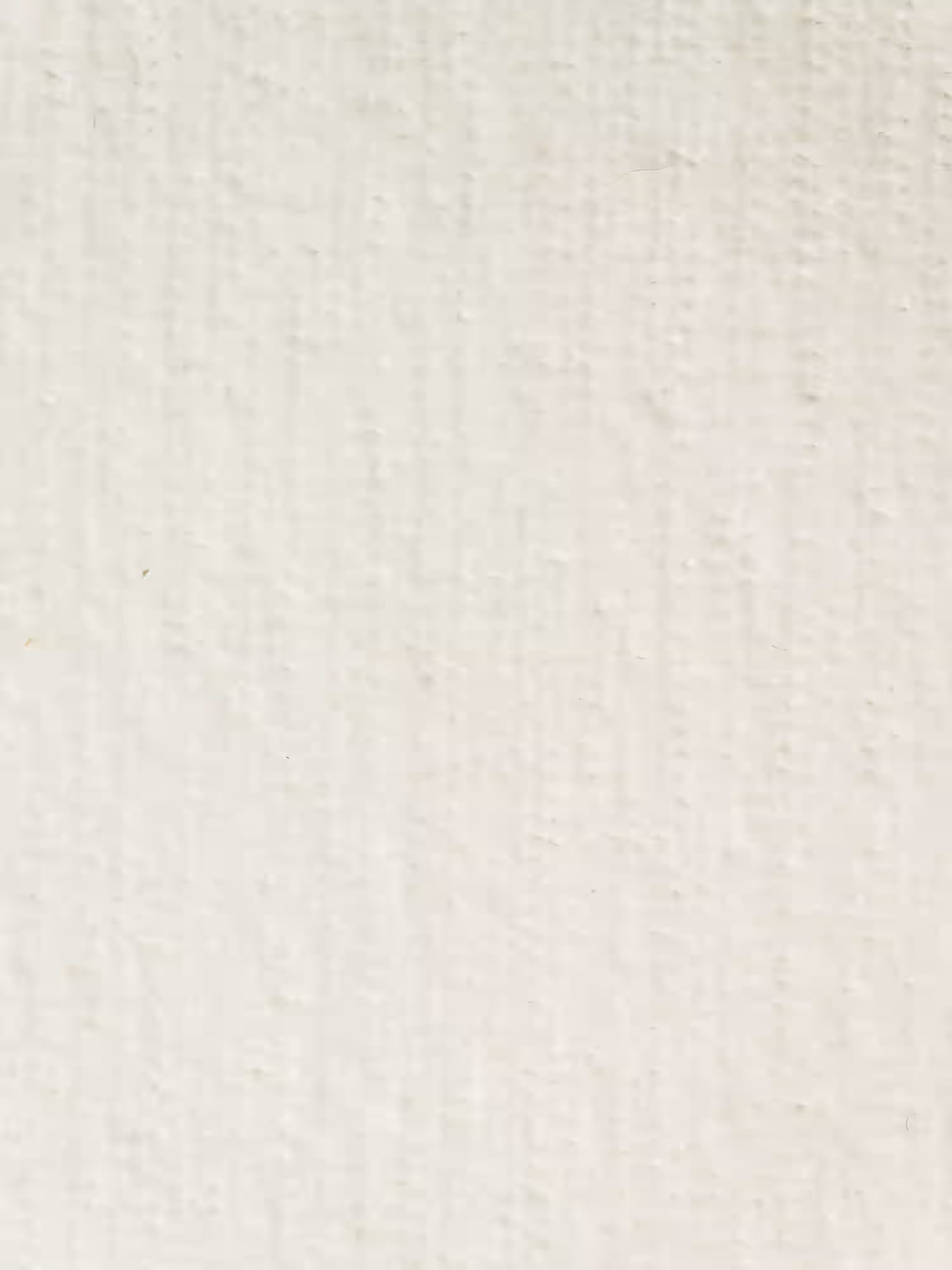 Un primo piano di una superficie semplice, di colore bianco sporco e dalla trama ruvida, caratterizzata da sottili linee verticali e da delicati dettagli irregolari diffusi su tutta la superficie. Lo sfondo è illuminato in modo uniforme e non presenta motivi o oggetti di rilievo, ricordando il raffinato tessuto T31 lavabile presentato su Divani.Store: la poltrona letto Rift con materasso alto 22 cm in memory foam e schienale regolabile.