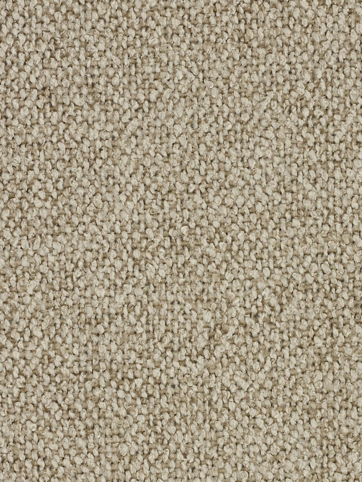 Primo piano sulla trama di un tappeto beige a riccioli, caratterizzata da piccoli riccioli di fibra intrecciati fitto e disposti secondo un motivo uniforme. La superficie appare morbida e compatta, con delicate variazioni nelle tonalità del beige: un abbinamento eccellente con il divano modulare a 3 posti Nimbus in morbido tessuto smacchiabile effetto cotone T33 di Divani.Store. Nell'immagine non sono visibili oggetti né segni identificativi.