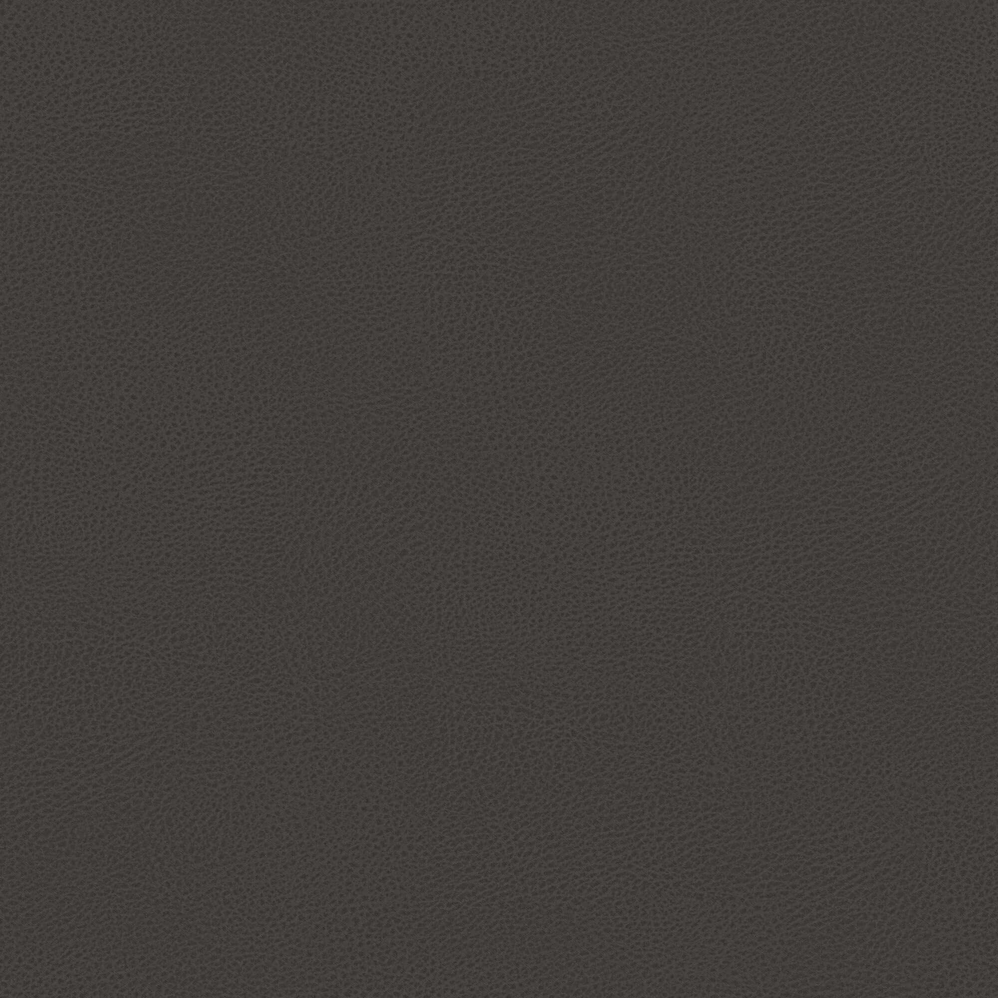 Nina lit coffre au design minimaliste en microfibre détachable effet cuir T15 anthracite