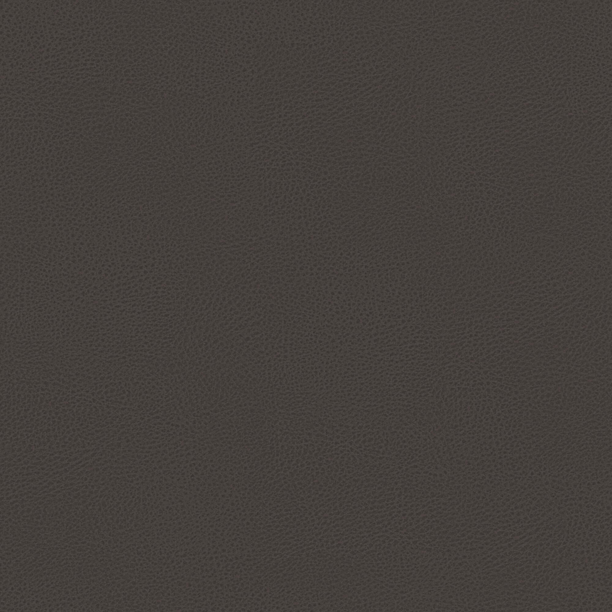 Nina lit coffre au design minimaliste en microfibre détachable effet cuir T15 marron