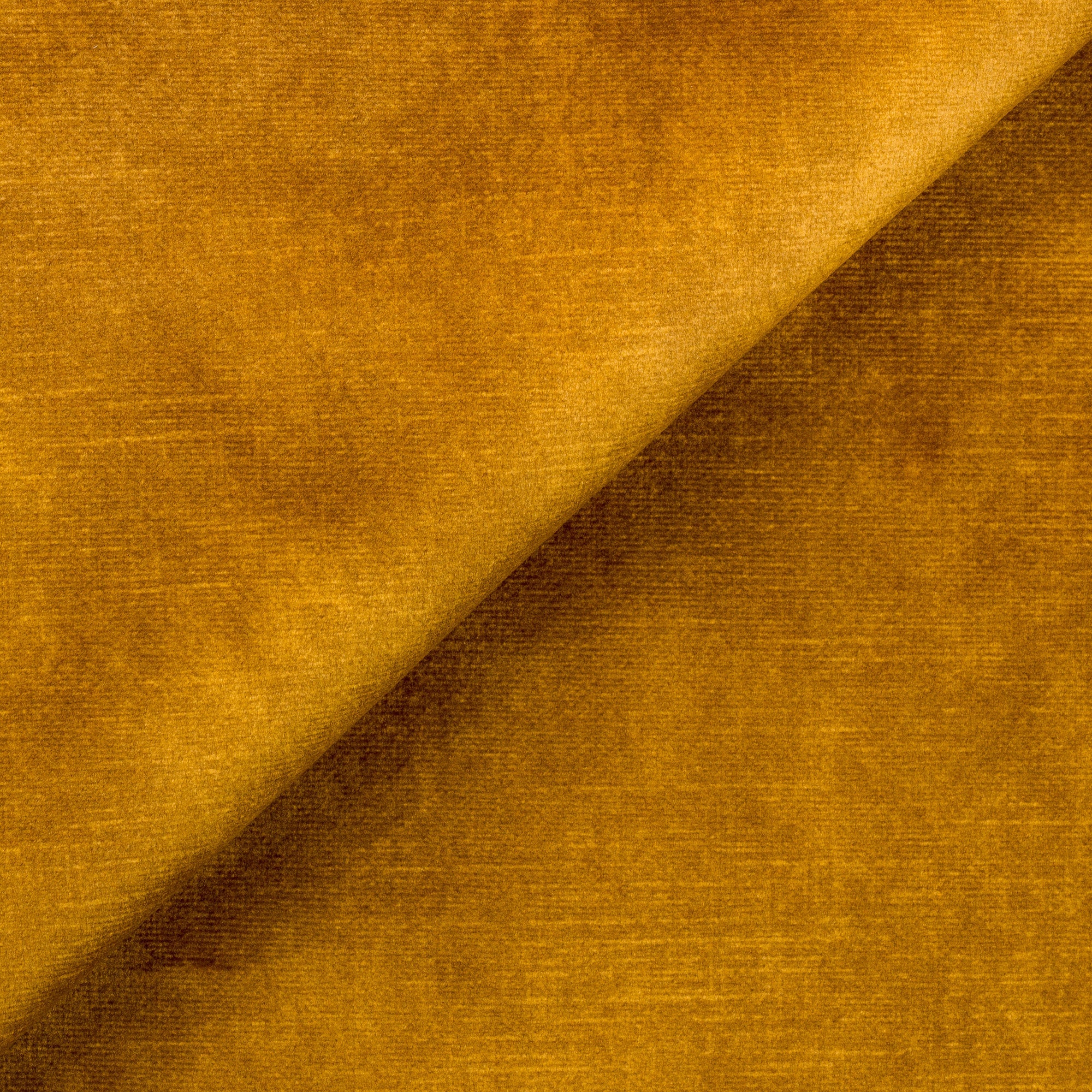Arthur divano moderno in velluto morbido impermeabile T01 oro - divani.store