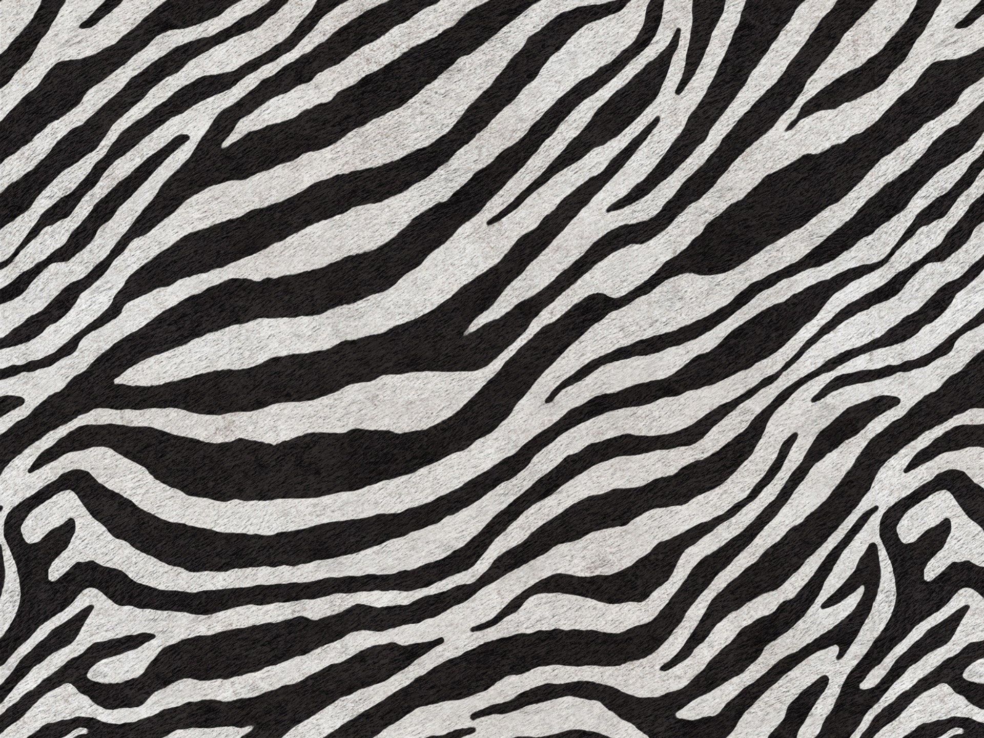 Wild cuscino in collezione Wild in microfibra impermeabile - divani.store