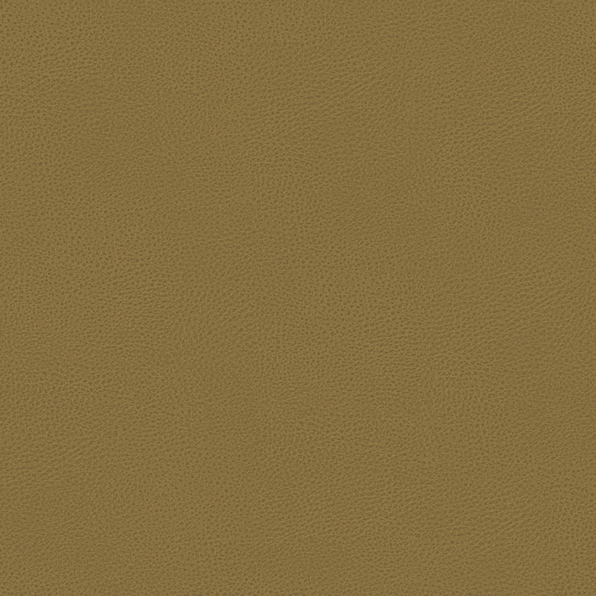 T15 Bisont microfibra effetto pelle smacchiabile - divani.store