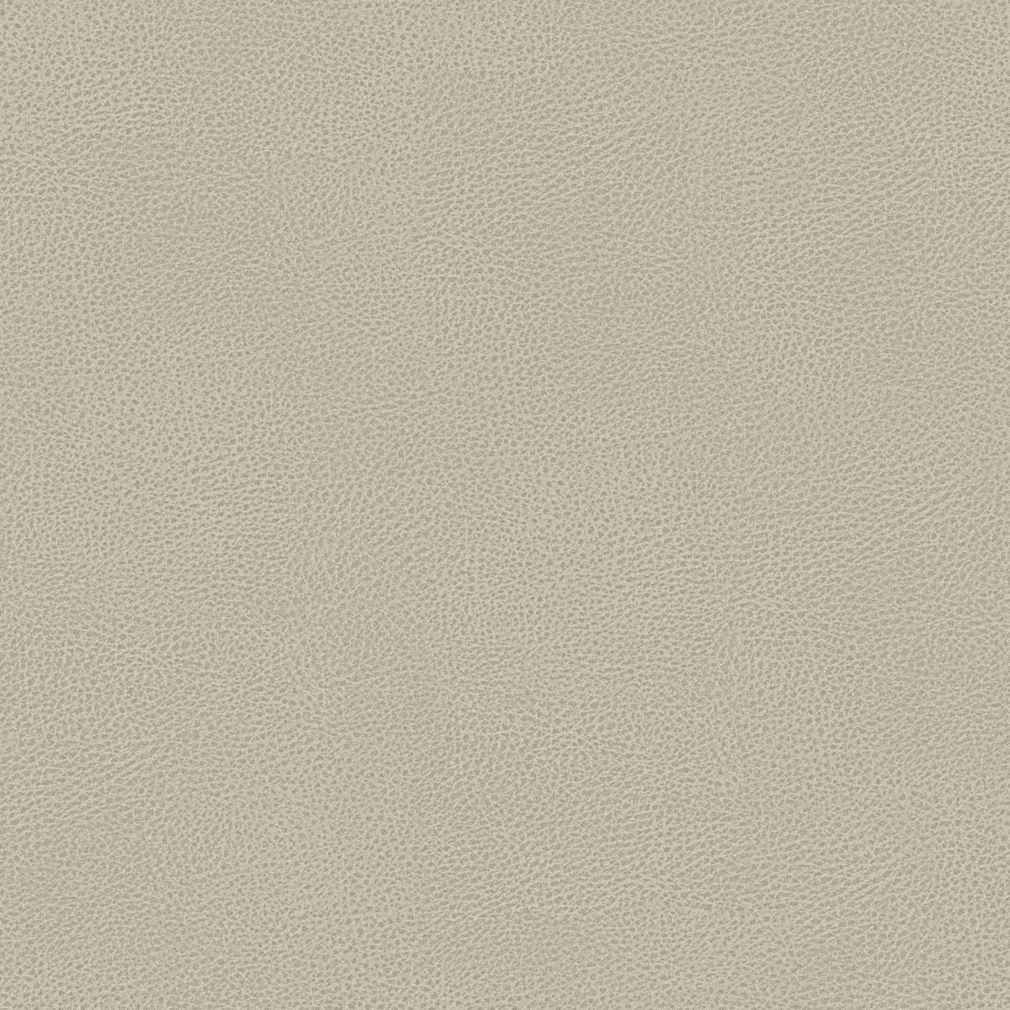T15 Bisont microfibra effetto pelle smacchiabile - divani.store